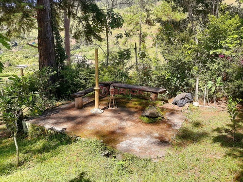 Imagem 16 de 27 de Casa Independente Na Fazenda Suíça. - Ca01715 - 69410568