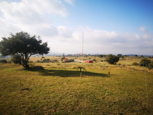 Imagen 24 de 30 de Venta De Chacra Con Vivienda, Ruta 12 Próximo A Pueblo Edén
