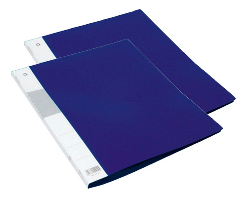 Kit X2 Carpeta A4 10 Folios Organizador Colegio Secundaria 