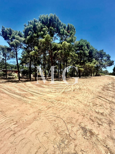 Venta Terreno Esquinero 1000mt Zona Chihuahua Pronto Para Construir