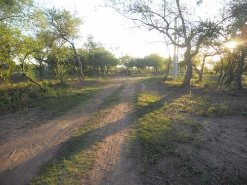 Imagen 9 de 14 de Lotes En Venta San Javier Yacanto, Traslasierra