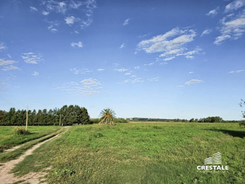 Venta Campo Victoria Entre Ríos
