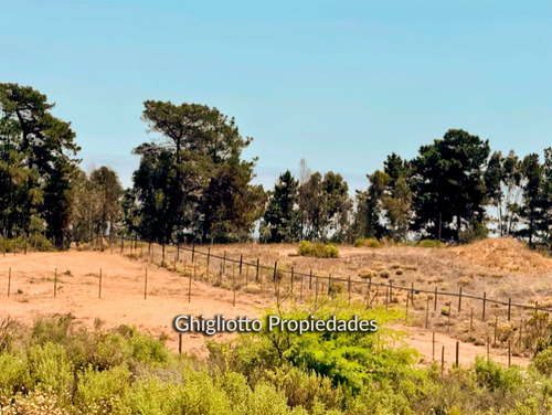 Terrenos De Gran Plusvalía Maitencillo Sur