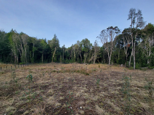 Espectacular Parcela Con Bosque En Condominio Las Tranqueras