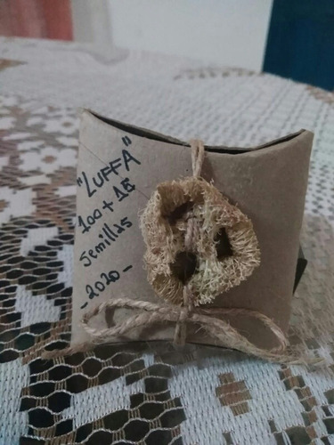 Imagen 3 de 7 de 100 Semillas De Luffa (orgánicas)