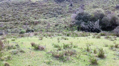 Campo Ganadero En Ruta 60