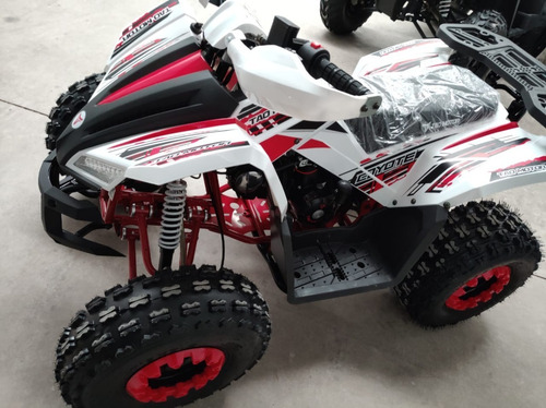 Imagen 8 de 20 de Cuatrimoto Coyote 125cc Automatica 0 Klm 2023
