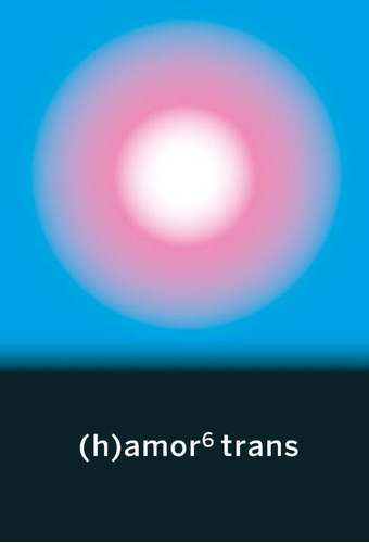 (h)amor 6 Trans - Vv.aa.