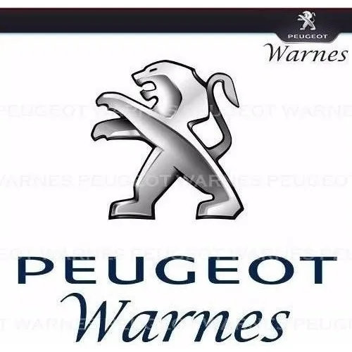 Guardaplast Derecho Delantero Peugeot 407 Sw 2.0 Hdi 05-11