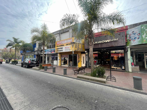 Imagen 4 de 26 de Venta 6 Locales + Planta Alta / Lote 840m2 Constitución
