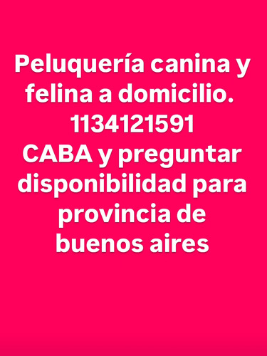 Peluquería Canina Y Felina A Domicilio