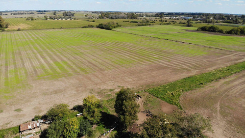 Imagen 20 de 25 de Venta Campo 83,3 Hectareas Agrícolas En Lima