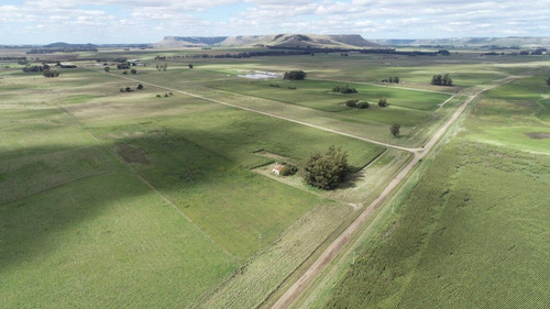 Imagen 12 de 30 de Quinta De 8 Has. A 1.800 Mts Ruta 226 - 100 % Agrícola
