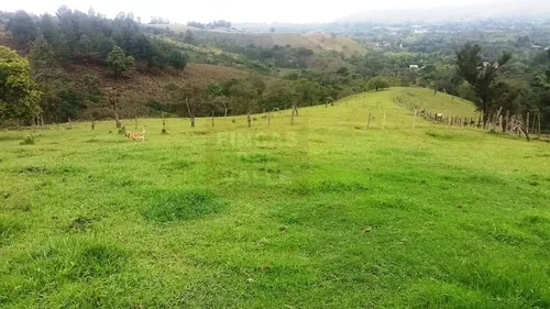 Piendamó, 23 Plazas Ganaderas Y/o Agrícolas.
