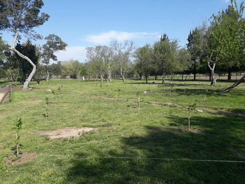 Hermosa Casa De Campo Con Pileta, Arboleda Y Caballos !!