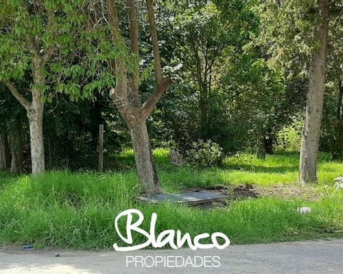 Imagen 1 de 3 de Oportunidad! Hermoso Lote De 250 Metros Dentro Del Barrio De Vicenzo Grande - Pilar