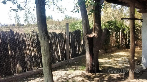 Imagen 2 de 12 de Chacra - Buen Orden