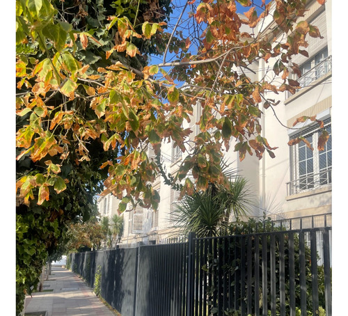 Hermoso Departamento Excelente Oportunidad