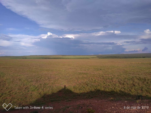 Imagem 5 de 9 de Fazenda À Venda 2 Bilhoes De Reais