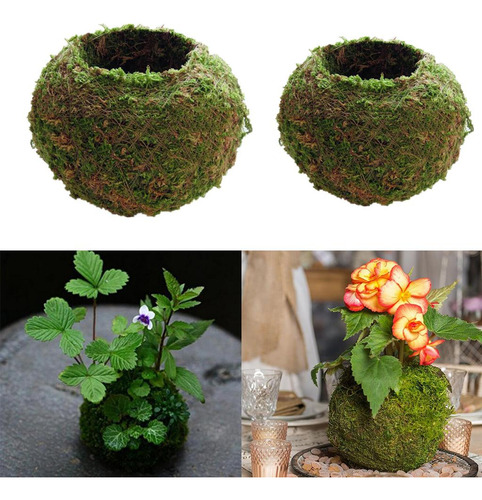 2 Ball Bonsai Holder Jardín Decoración 6 Cm Cm