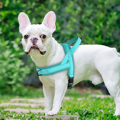 Arnês Para Cães, Sem Puxar, Colete, Acolchoado Macio, Para A