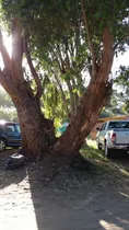 Comprar Terreno Lote  En Venta En La Lucila Del Mar, Costa Atlántica, Buenos Aires