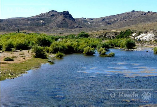 Imagen 16 de 24 de Campo De 2400 Has En Venta En Bariloche - Patagonia Argentina - Fly Fishing
