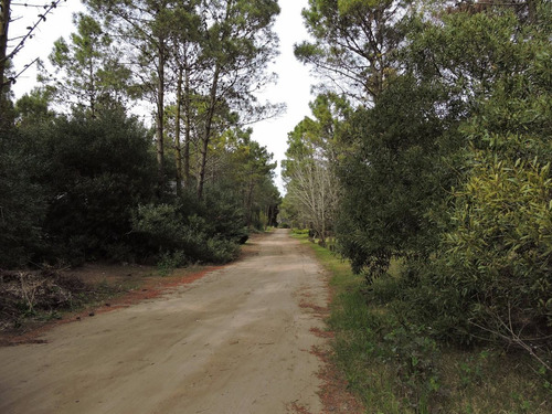 Vendo Lote En Venta . Carilo