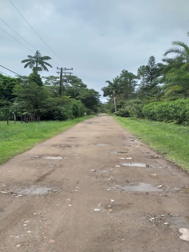 Imagem 10 de 10 de Terreno Em Área De Chácara - 6531 - 69840740