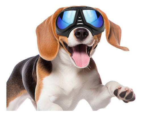 Gafas Para Perros Pequeños Y Medianos