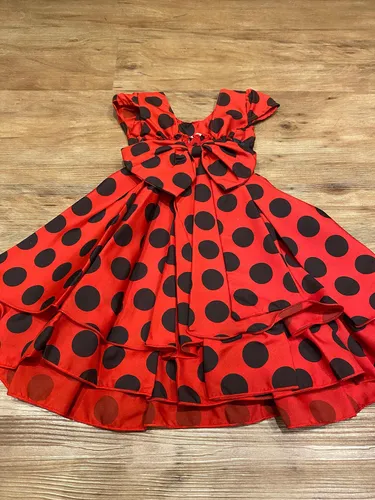 Miraculous vestidos sale