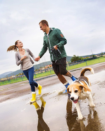 Correa Para Perro 5 Metros Con Hilos Reflectantes De Nylon