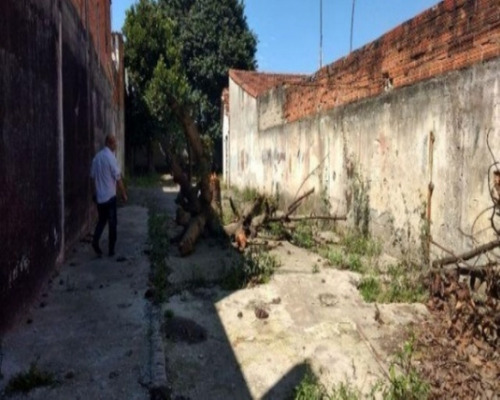 Imagem 6 de 9 de Terreno - Te-37 - 32142556