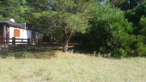 Imagen 2 de 2 de Nueva Atlantis Venta Excelente Terreno Mejor Zona Arbolado