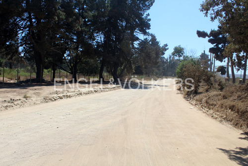 Excelente Terreno Sector Los Pinos
