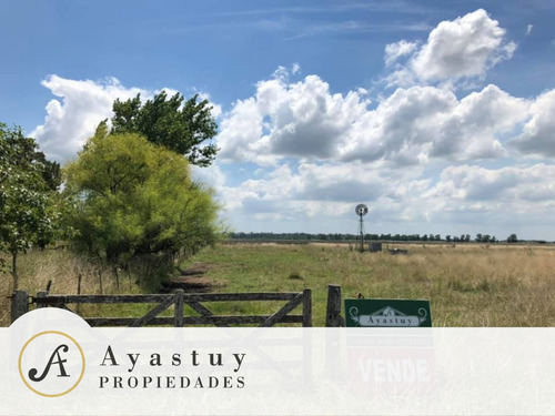 Campo De 50 Ha - Brandsen