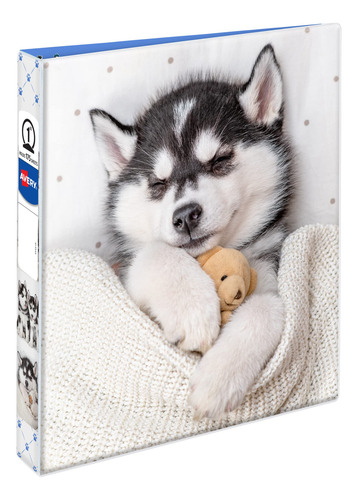 Carpeta De 3 Anillos 25 Mm Cachorro Husky Avery Friends 2684