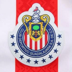 Imagen 4 de 4 de Jersey Puma Chivas De Guadalajara Local Para Niños