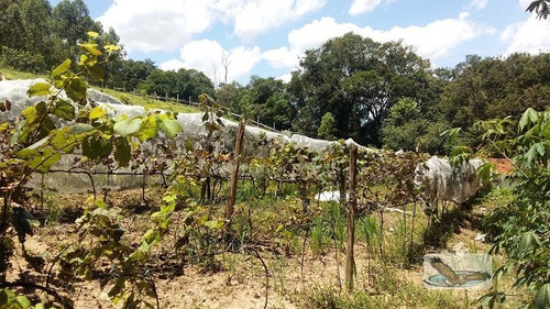 Chácara A Venda No Bairro Bairro Do Pinhal Em Itatiba - Sp. - Ch341-1