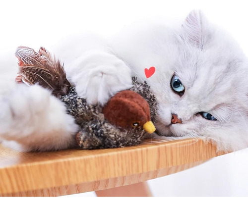 2pcs Juguete Para Gato Pájaro Gorjeando Con Cola De Plumas
