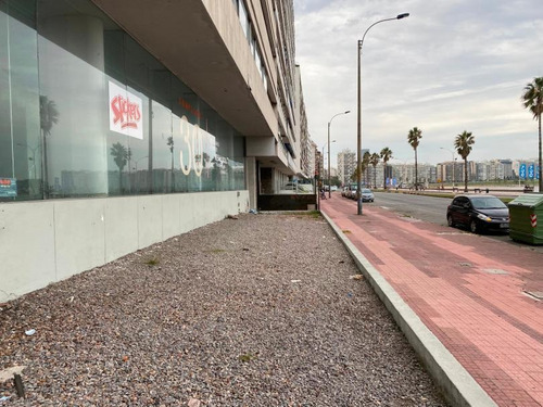 Imagen 7 de 7 de Oficina En La Rambla De Pocitos Con Vista Al Mar