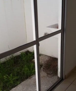 Imagen 8 de 8 de Departamento En Venta En Bella Vista
