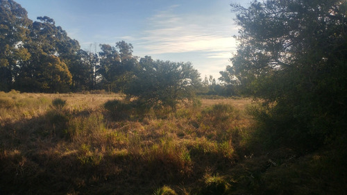 Imagen 8 de 13 de Campo De 6.8 Has En Punta Indio