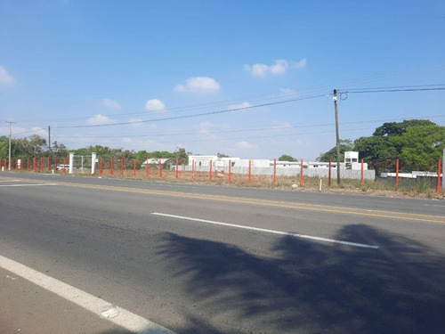 Imagen 2 de 4 de Terreno 170,000 M2 Venta O Renta