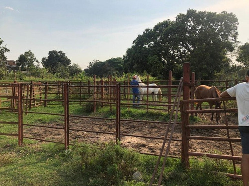 José Herrera Vende Mini Finca En La Entrada De Nirgua Estado Yaracuy. (plf-005)