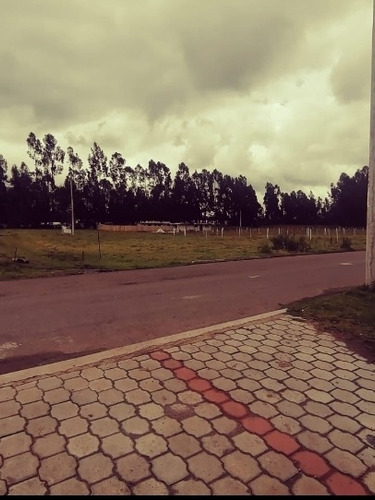 Imagen 7 de 7 de Terrenos Tabacundo (barrio Alegría)