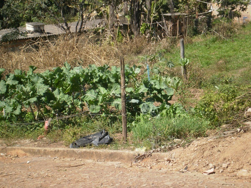 Imagem 5 de 5 de Lote No Bairro Panorama Em Igarapé. - 721