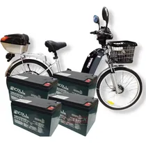 Comprar Kit 48 Volts Baterias Global Nicoll Dzm12 Dzm15 Rema 350w