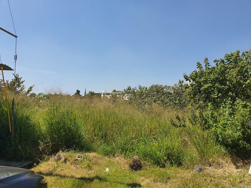 Terreno En Lomas De Cortes, Excelente Ubicación