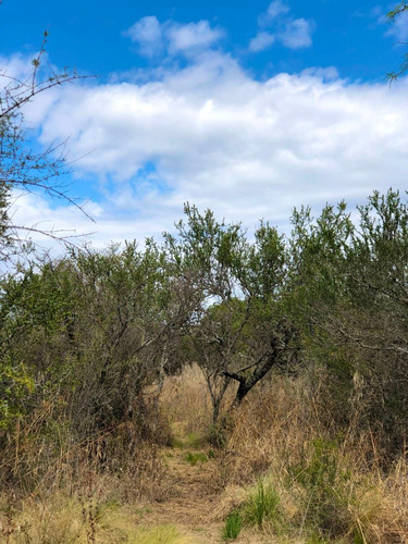 Imagen 13 de 14 de Lote De 2500 M2 Ubicado En Las Chacras - Villa De Las Rosas